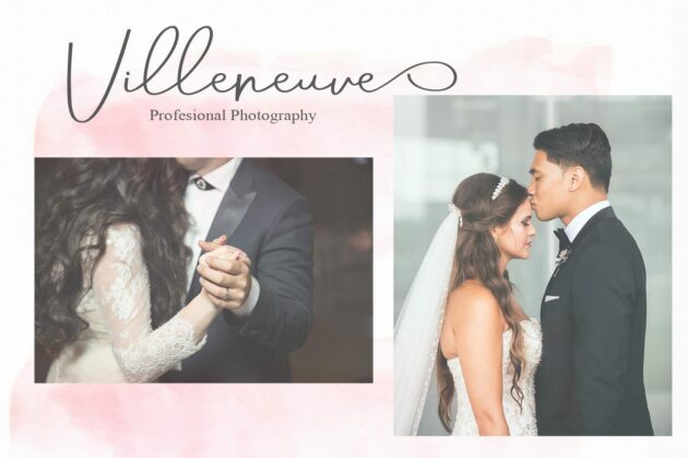 Aneisha Script Font Poster 8
