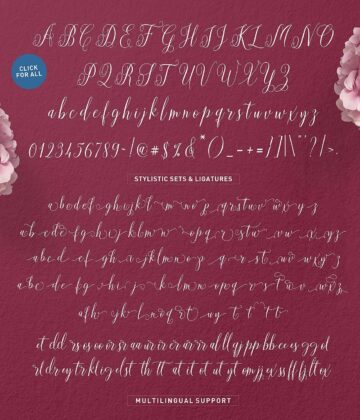 Aneisha Script Poster 4