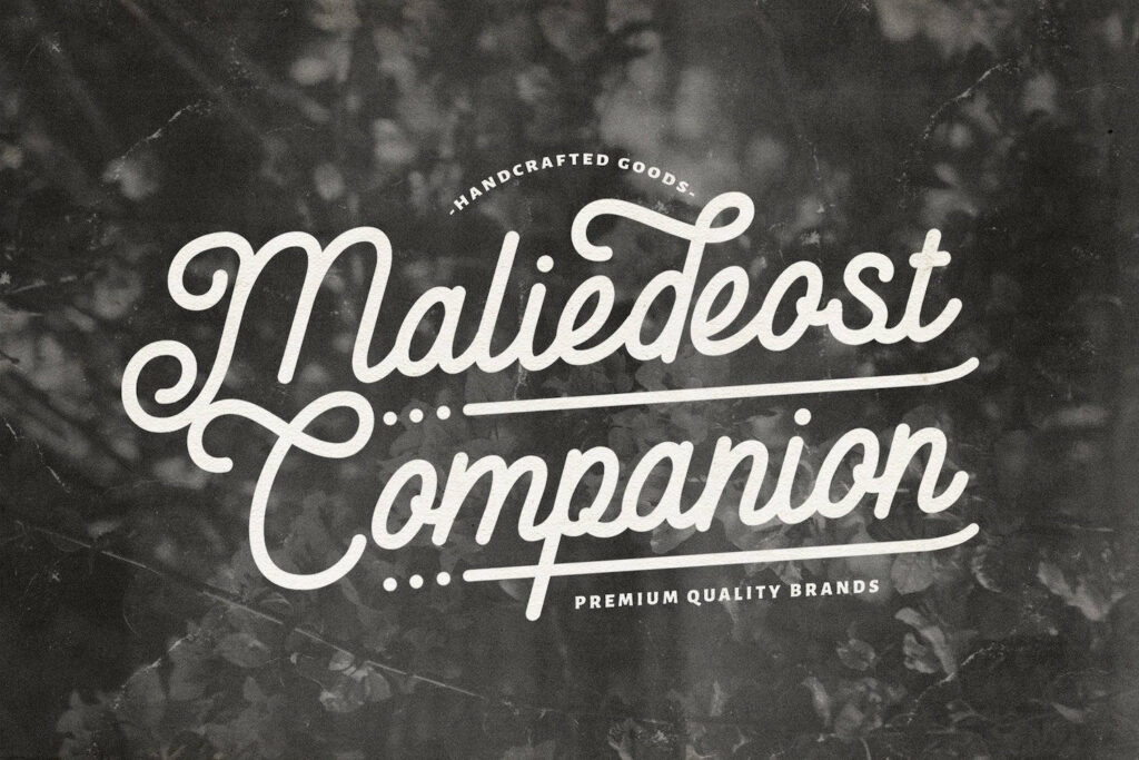 Anelka Fambuya - Monoline Retro Script Font Poster 7