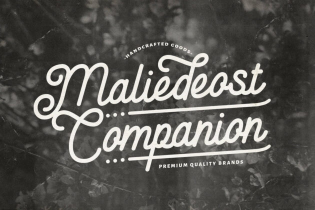 Anelka Fambuya - Monoline Retro Script Font Poster 7