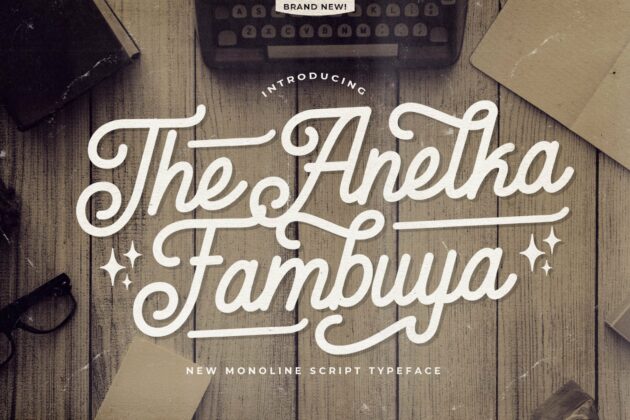 Anelka Fambuya - Monoline Retro Script Font Poster 8