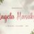Angela Hasuky – Handwritten Font