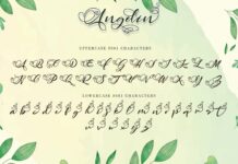Angelin Poster 1