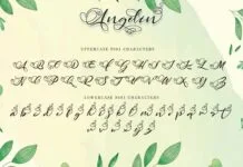 Angelin Poster 1