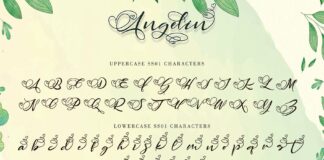 Angelin Poster 1