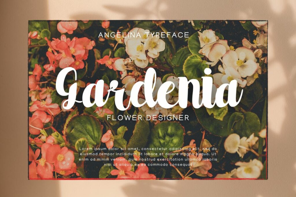 Angelina - Modern Handwritten Font Poster 9