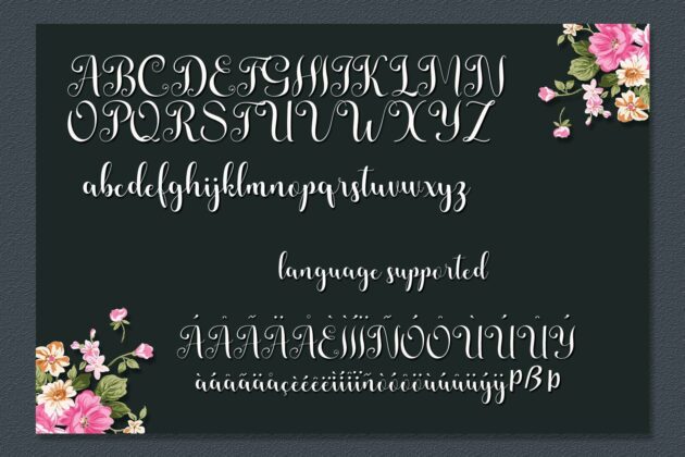 Annissa Script Poster 3