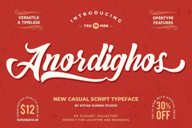 Anordighos Poster 2