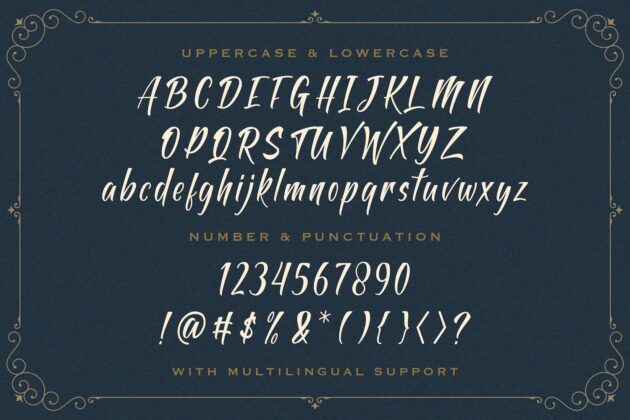 Antapin - Bold Script Font Poster 2