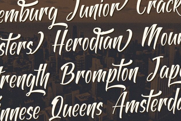 Antapin - Bold Script Font Poster 5