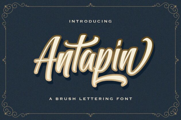 Antapin - Bold Script Font Poster 7
