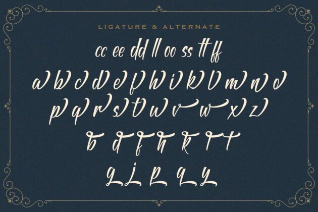 Antapin - Bold Script Font Poster 10