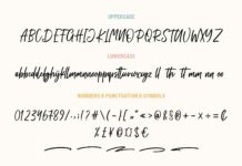 Anthony - Modern Script Font Poster 1