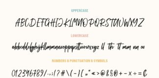 Anthony - Modern Script Font Poster 1