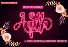 Aqilla Script Poster 1