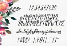 Ashleigh Script Poster 1