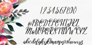 Ashleigh Script Poster 1