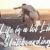 Astayfattony – Handwritten Font