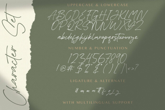 Asthacy Reny - Handwritten Font Poster 2