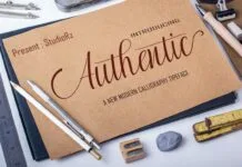 Authantic Authantic Poster 1