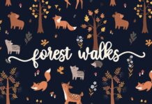 Autumnal Friends Script Font (Script Fonts, Romantic Fonts, Love Fonts) Poster 1