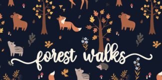Autumnal Friends Script Font (Script Fonts, Romantic Fonts, Love Fonts) Poster 1