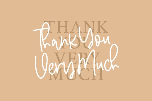 Aventurine is a Monoline Handwritten Font Poster 3