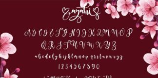 Ayahi Script Poster 1
