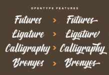 Aylafs - Bold Script Font Poster 1