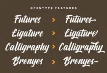 Aylafs – Bold Script Font Aylafs - Bold Script Font Poster 1