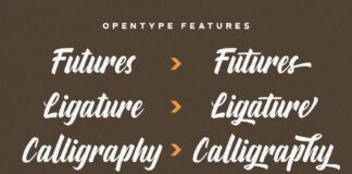 Aylafs - Bold Script Font Poster 1