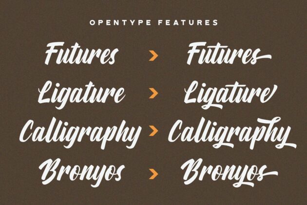 Aylafs - Bold Script Font Poster 1
