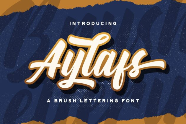 Aylafs - Bold Script Font Poster 7