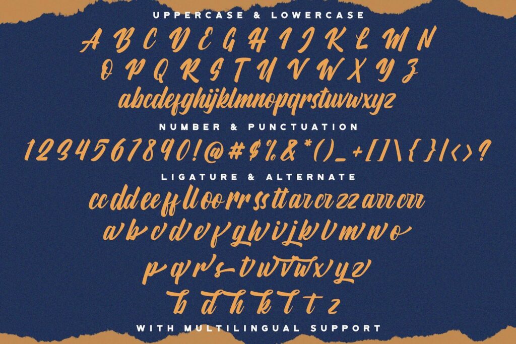 Aylafs - Bold Script Font Poster 10