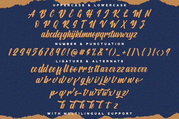 Aylafs - Bold Script Font Poster 10