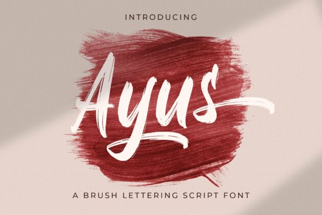 Ayus - Handbrush Script Font Poster 8
