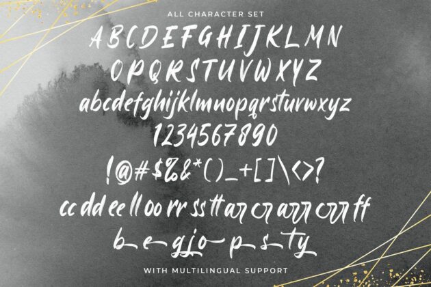 Ayus - Handbrush Script Font Poster 10