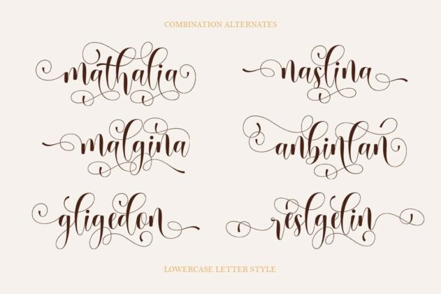 Babenta - Modern Calligraphy Font Poster 6