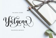 Bahgila Script font Poster 1