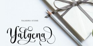 Bahgila Script font Poster 1