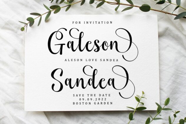 Bahgila Script font Poster 5