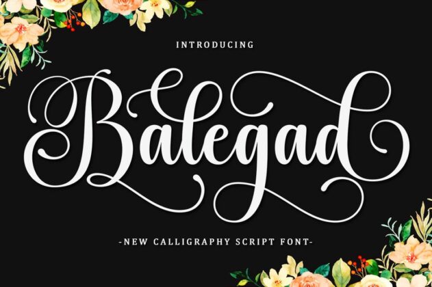 Balegad Script Font Poster 6