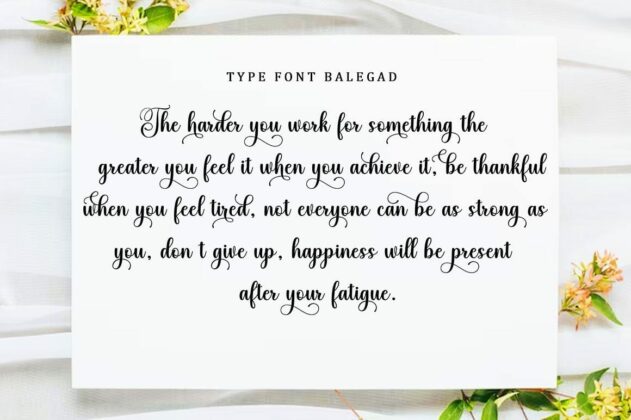 Balegad Script Font Poster 7
