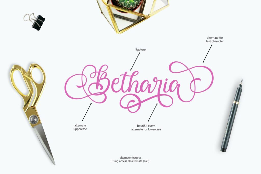 Ballita Script Poster 3
