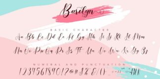 Barelyn Script Poster 1