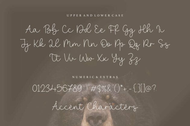 Bearline Casual Monoline Script Font Poster 3