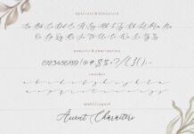 Beautica Beautiful Calligraphy Font Poster 1