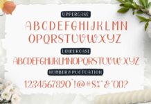 Beautiful Day Script- Font Duo Poster 1