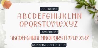 Beautiful Day Script- Font Duo Poster 1