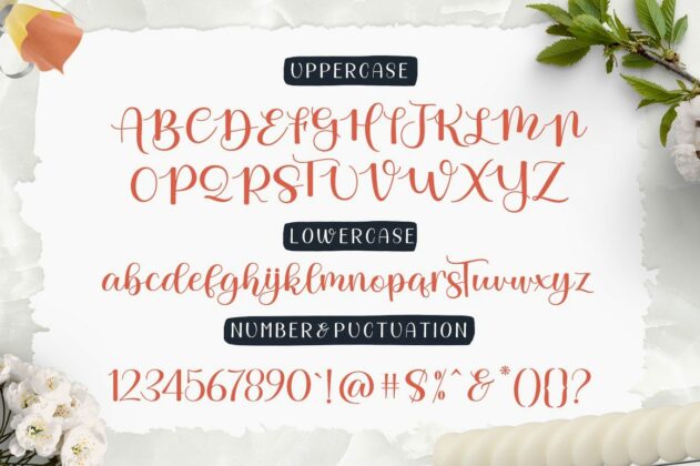 Beautiful Day Script- Font Duo Poster 3